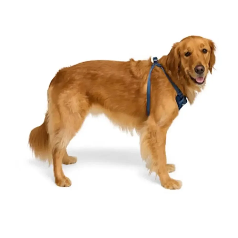 Youly Step-In Dog Harness Small Navy Blue No-Pull Front Clip EUC